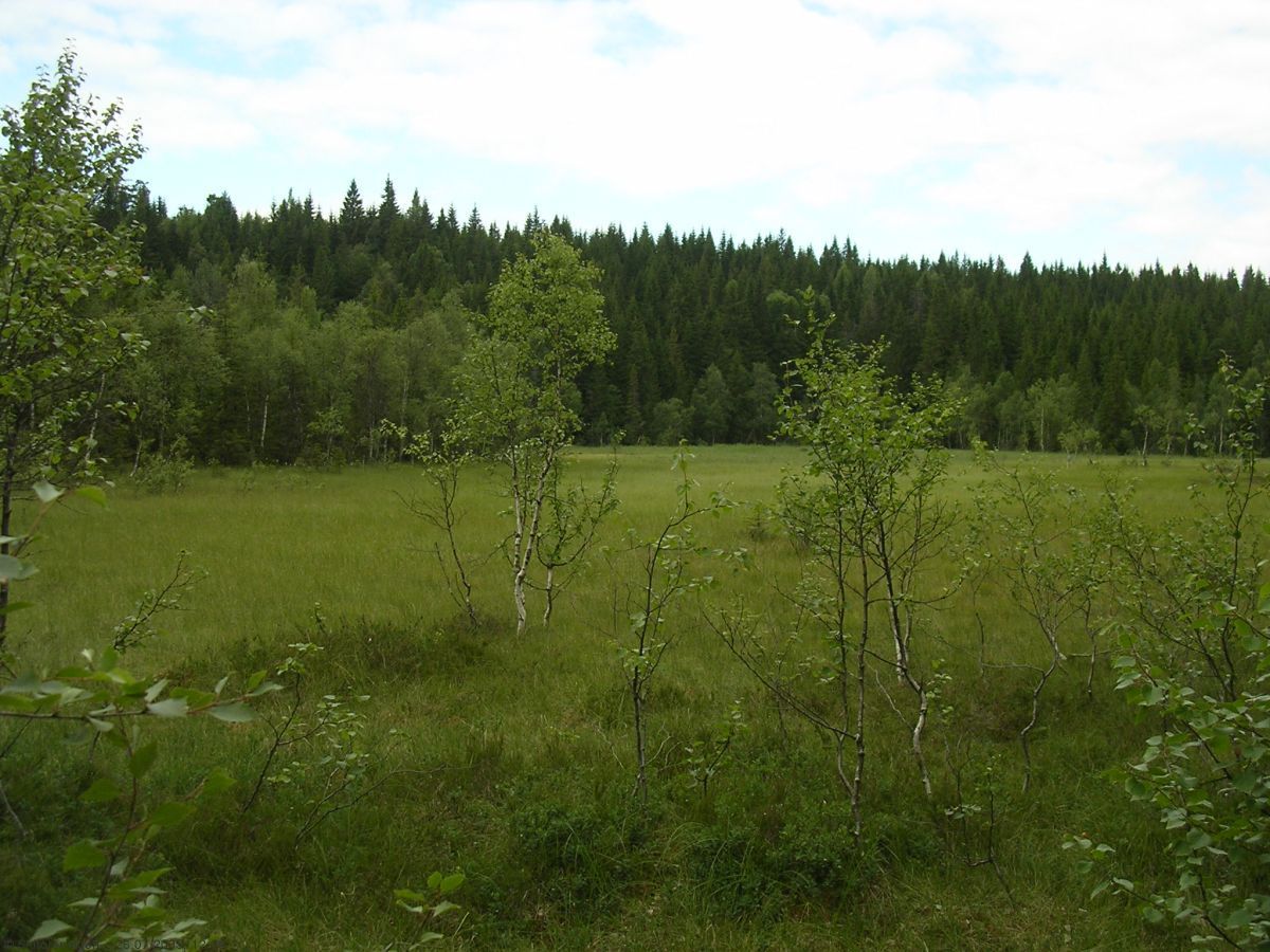 Myr med belastet navn