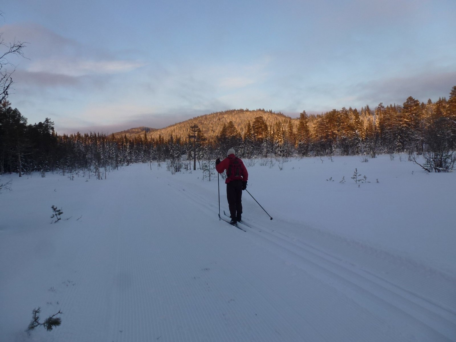 Myra ved Storflåtan Dam