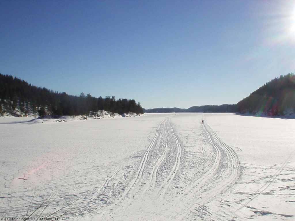 N. Elvåga v. Mariholtet