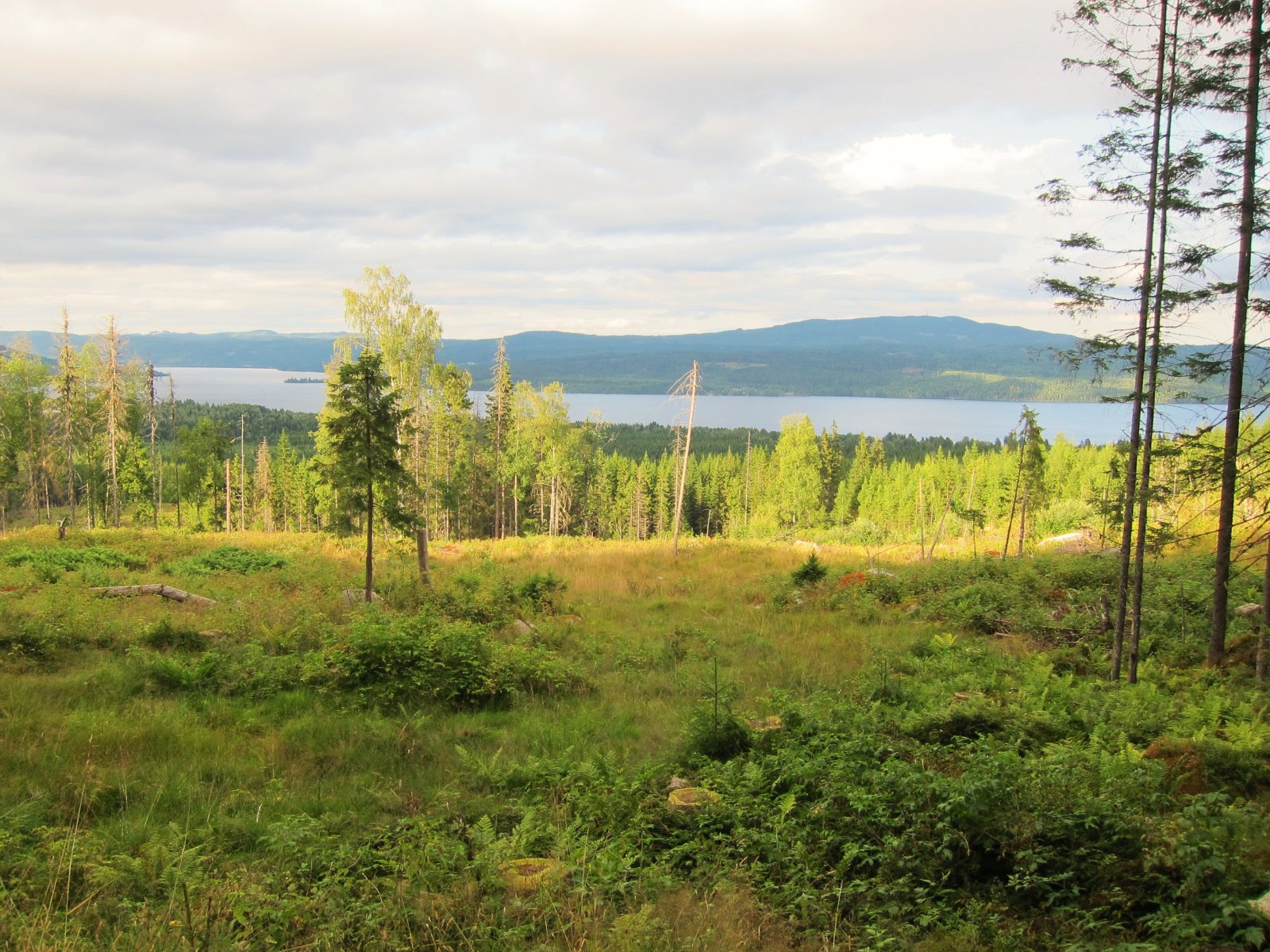 Ned mot Hurdalssjøen