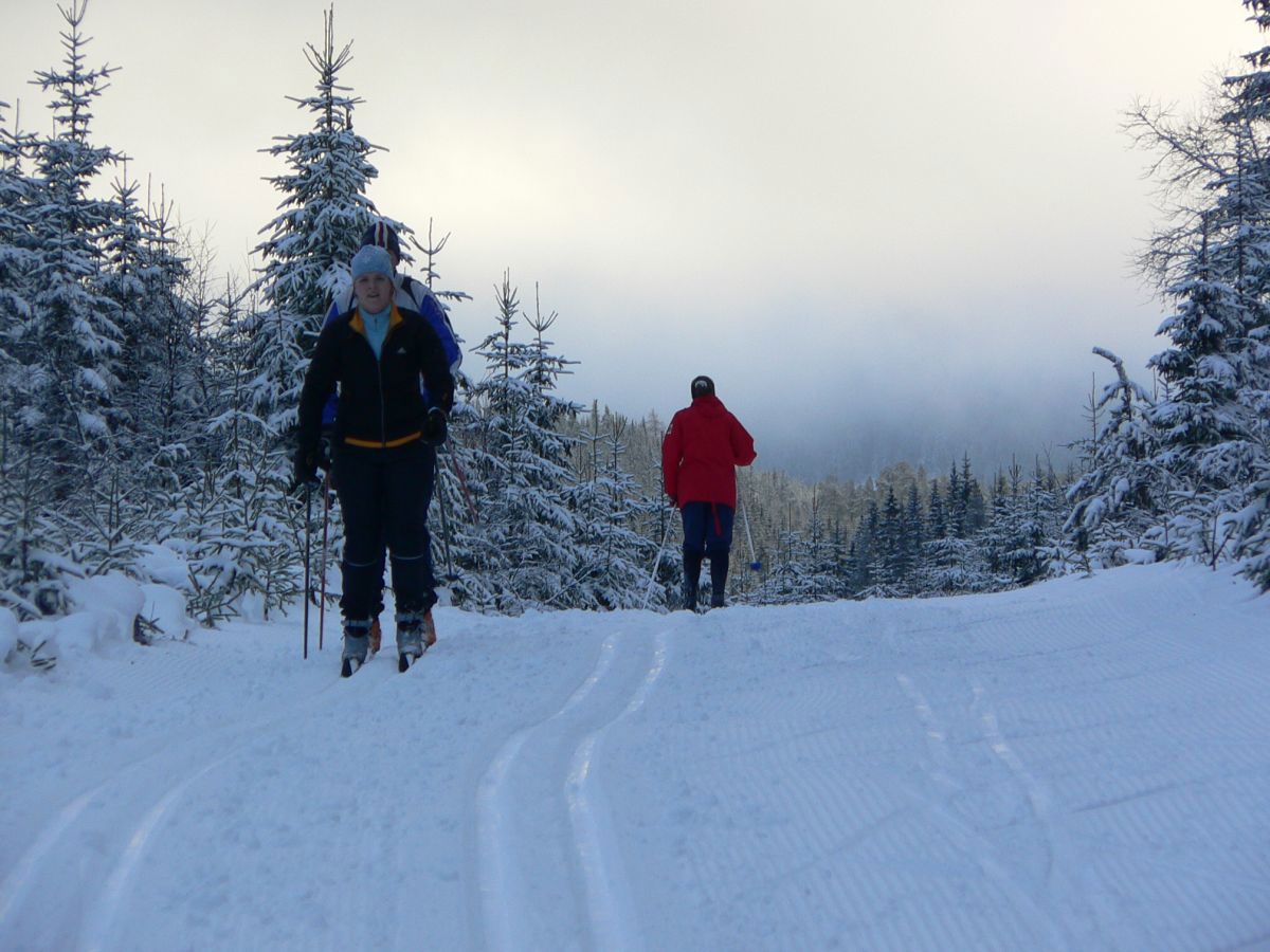 Ned Trasletjerndalen
