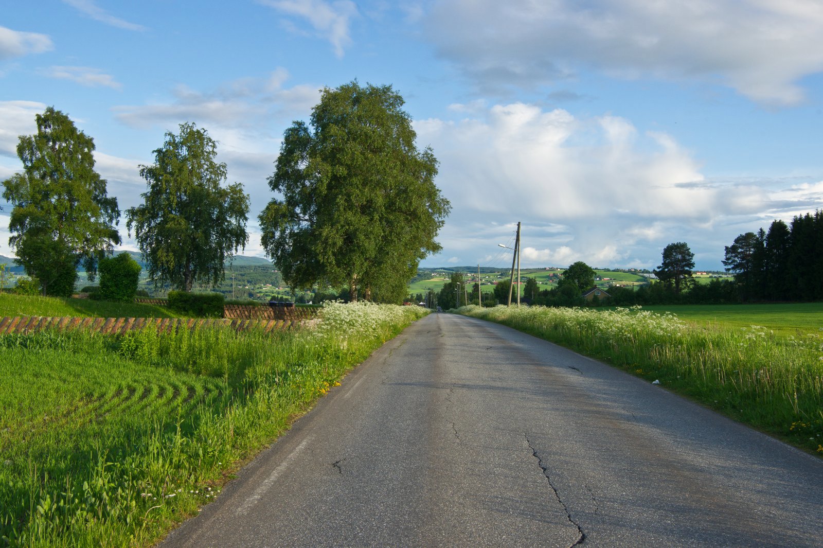Nedkjøringen mot Lena
