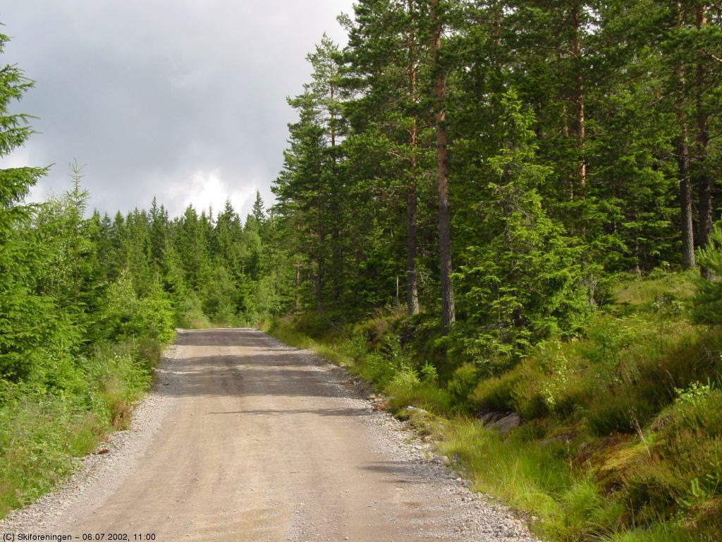 Nesten litt høyfjellslandskap ved Guritjernkollen