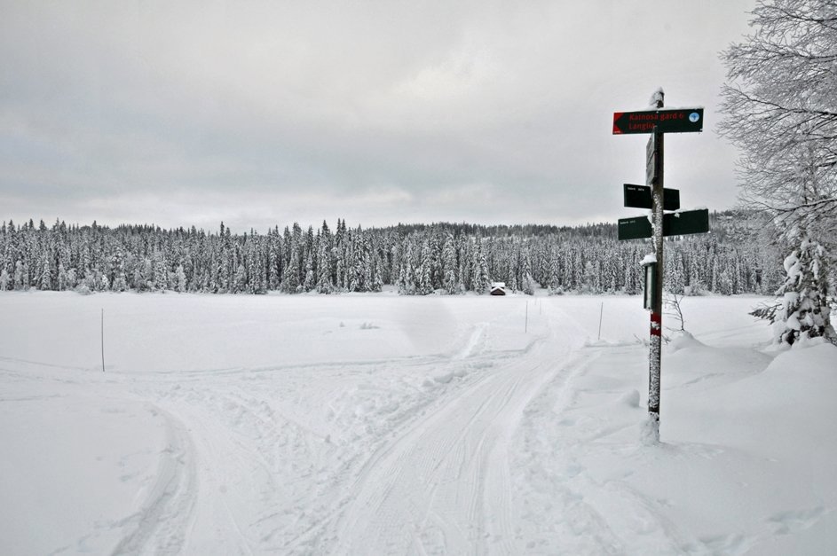 Nordenden av Spålen
