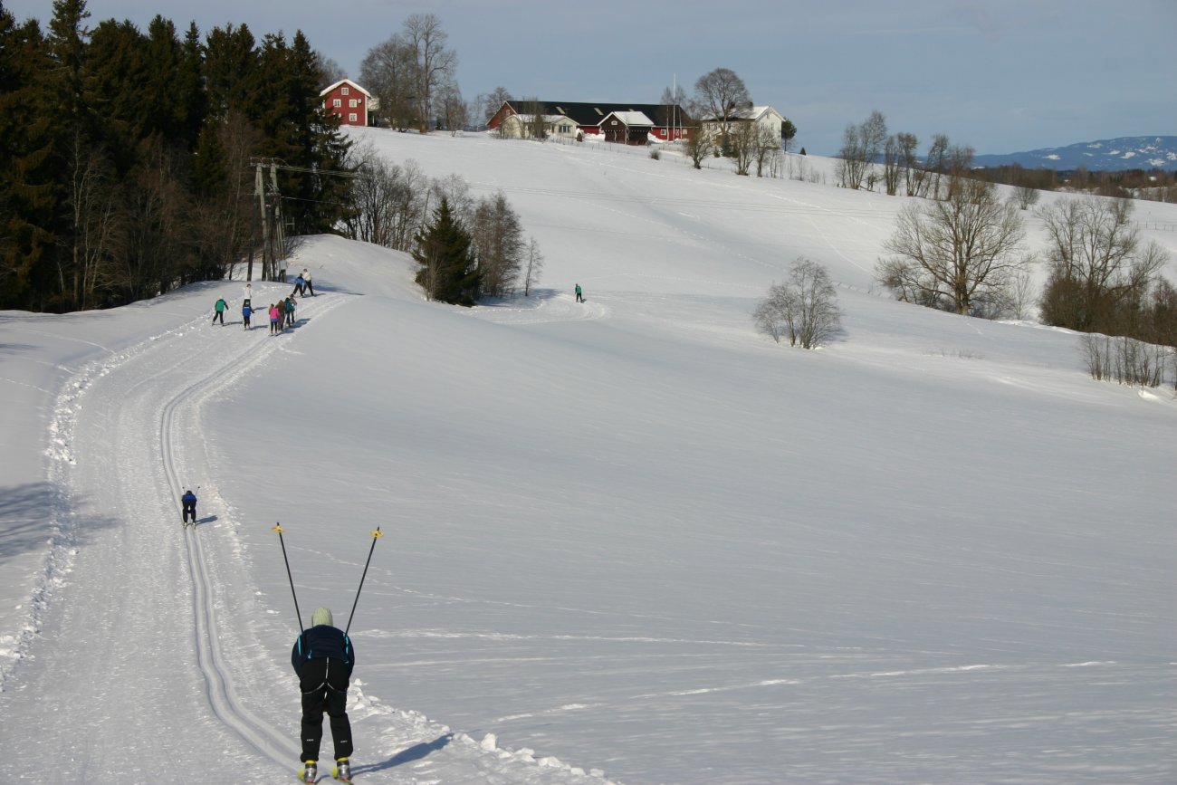 Nordover fra Holtersaga