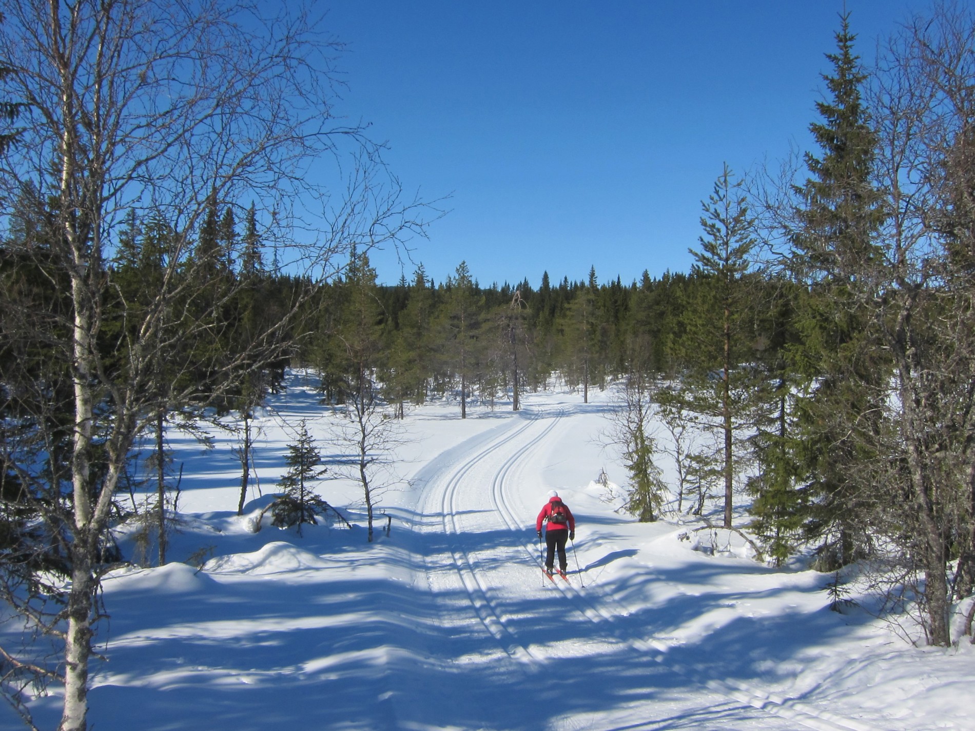 Nordover fra Lavtjernet