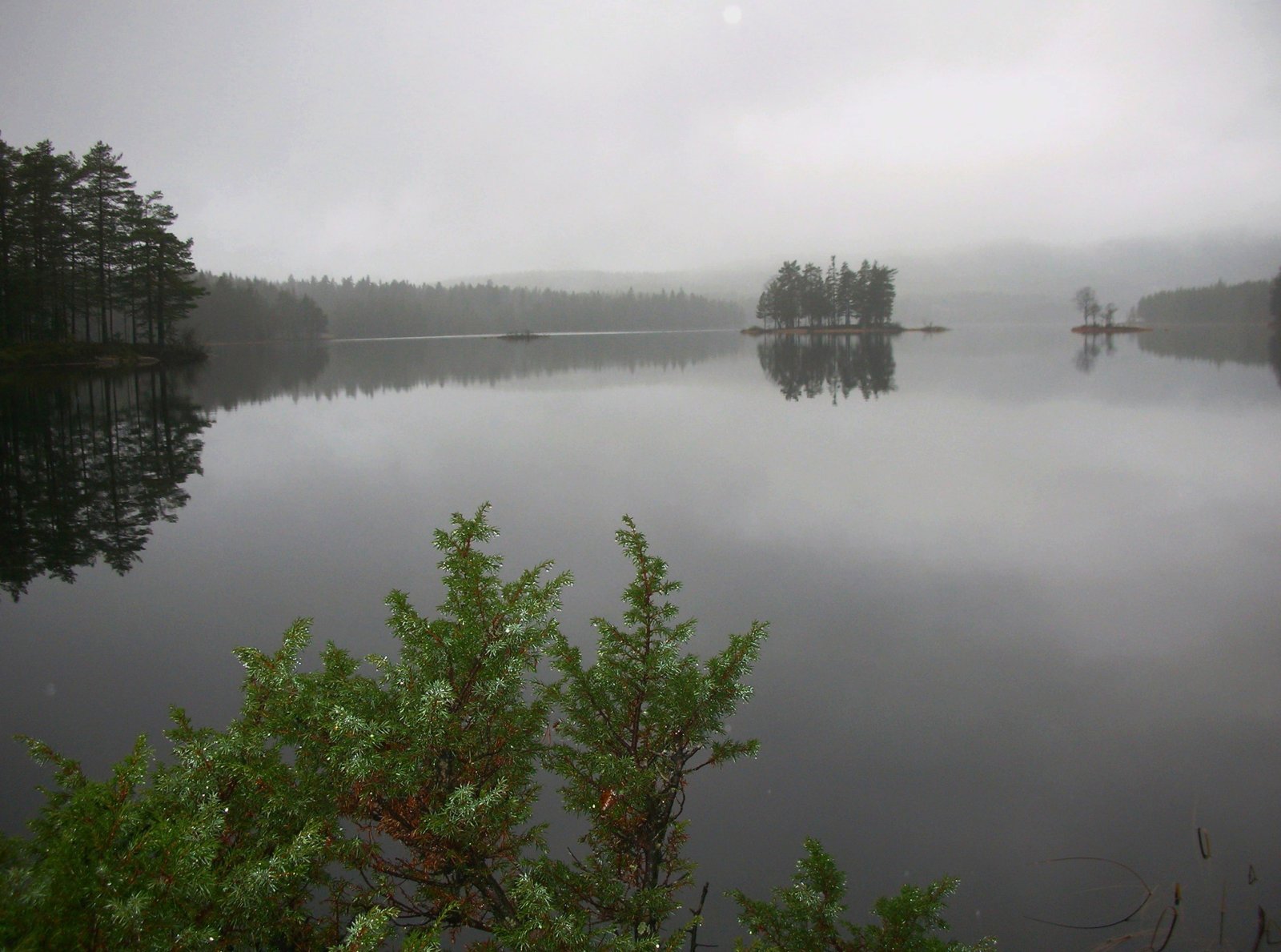 November ved Skjærsjøen