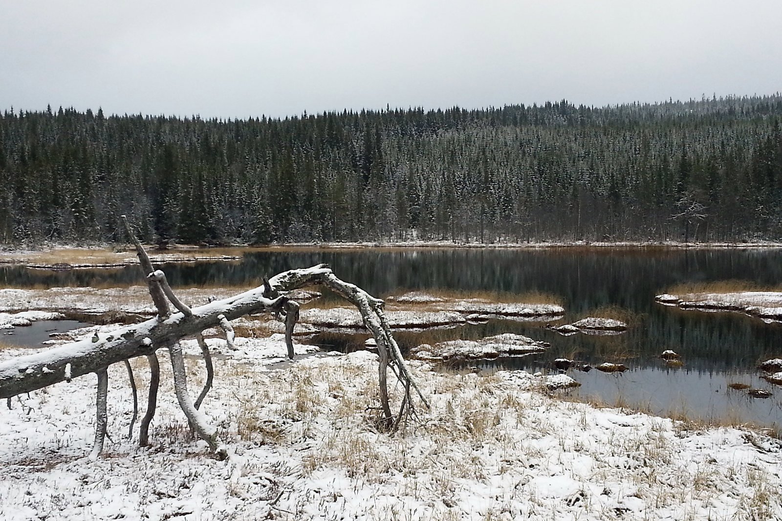 Novemberdag ved Vesle Damtjennet