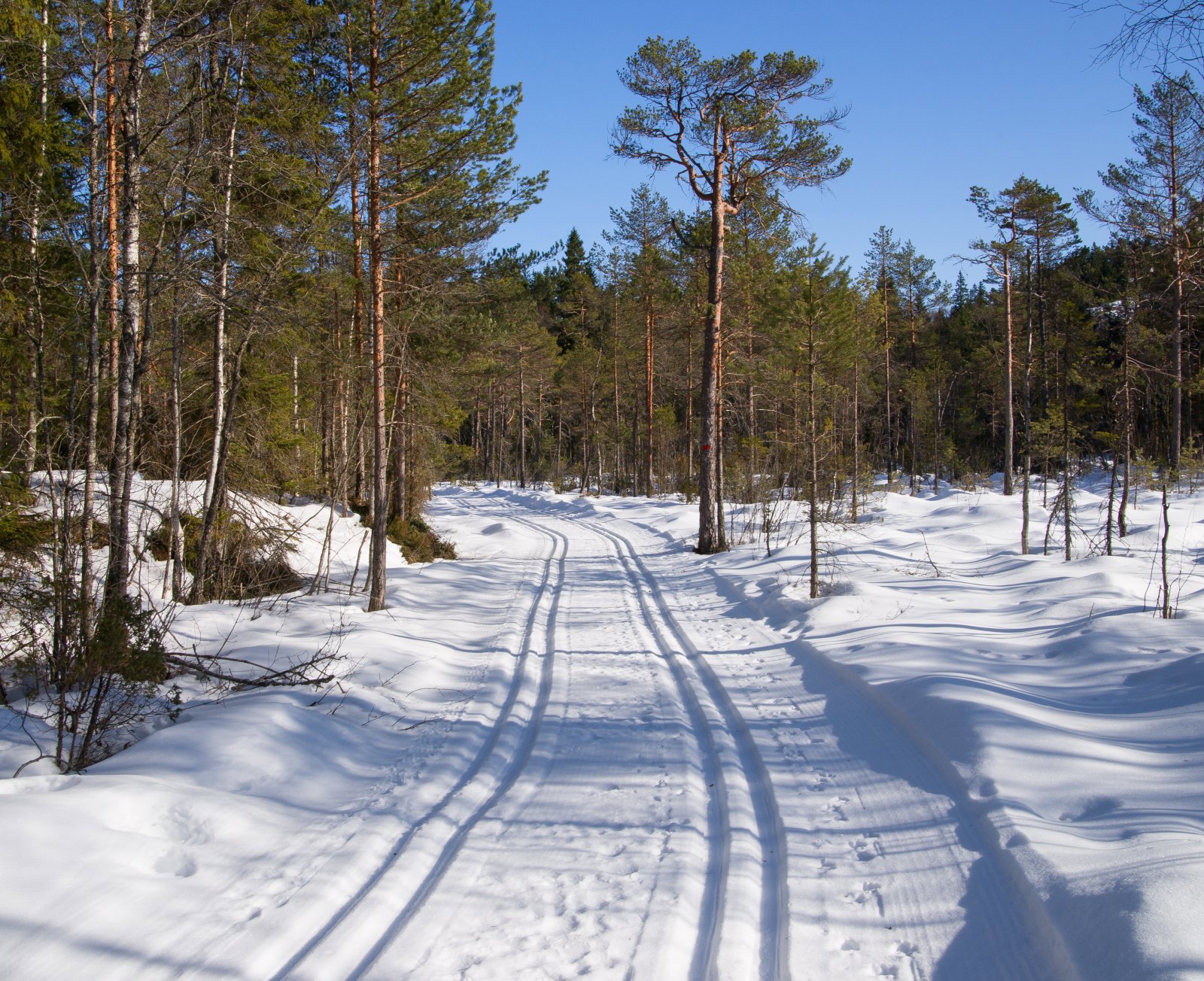 Ny løype