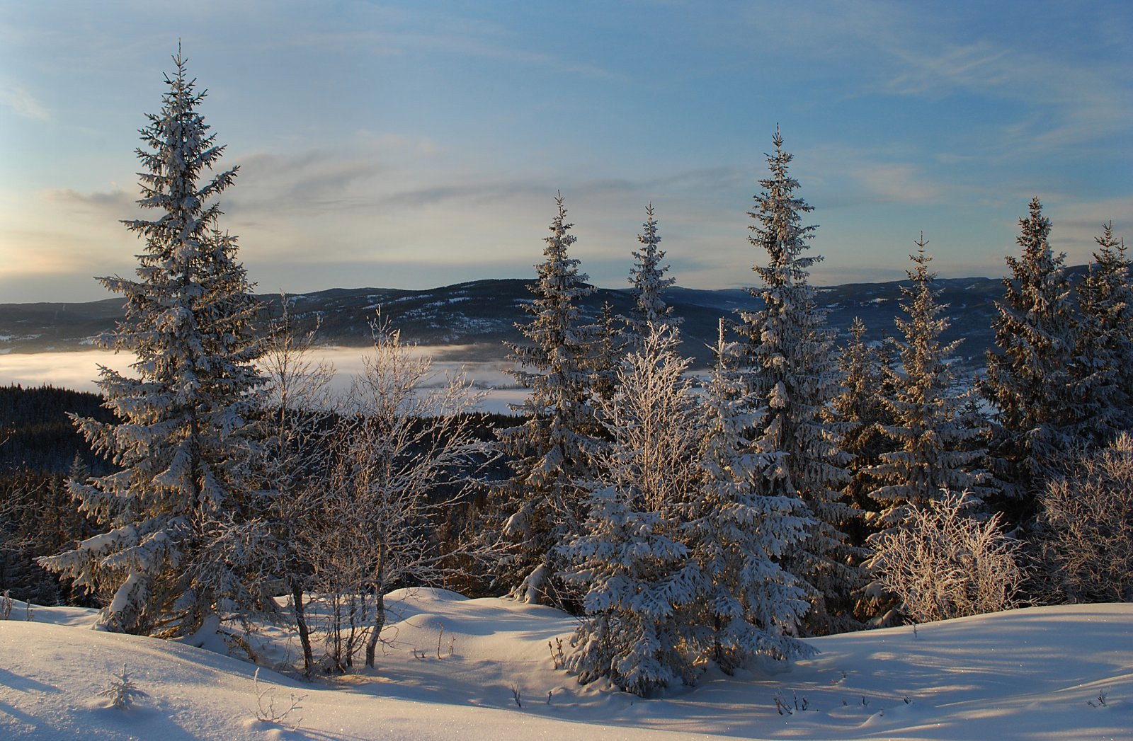 Nydelig vinterdag på Brenntoppen