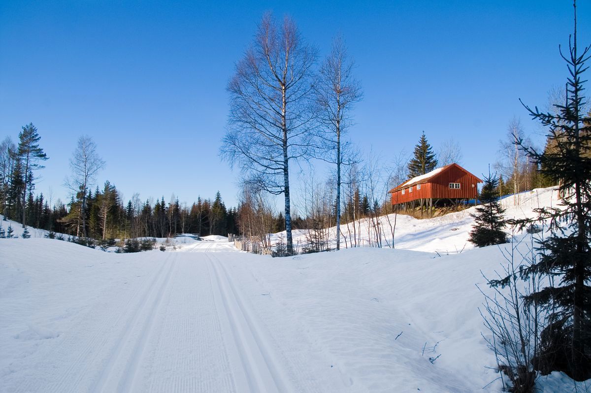 Nye spor på Kongeveien