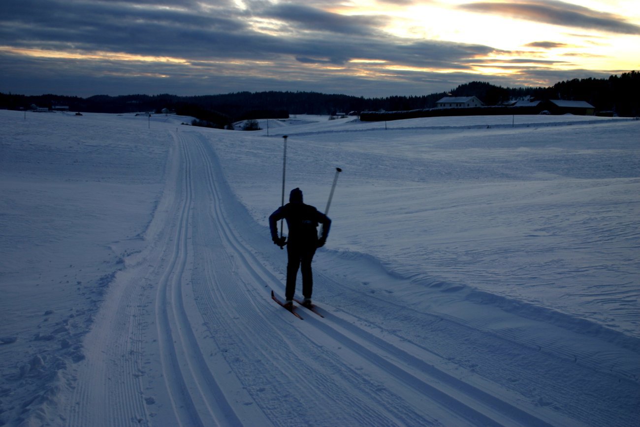 Nyfrisert på jordene