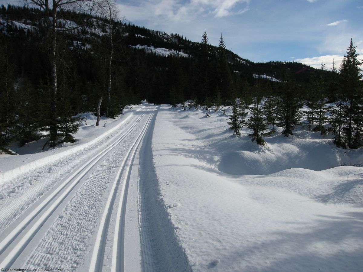Nyfrisert på Knappaveien