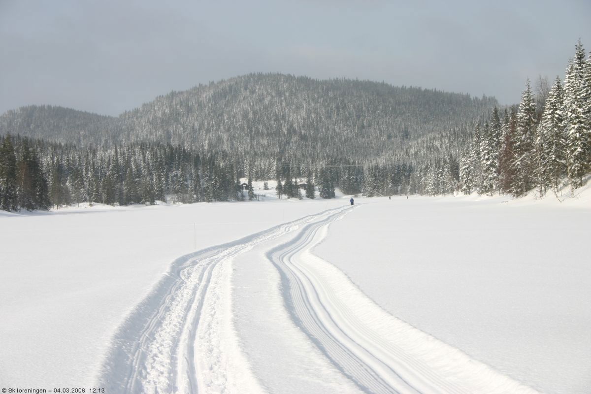 Nyfrisert på Tverrsjøen