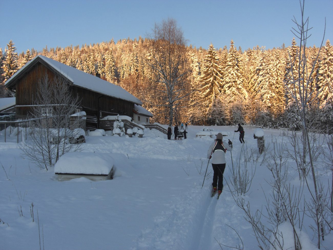 Nygård med gyllen skog bak seg