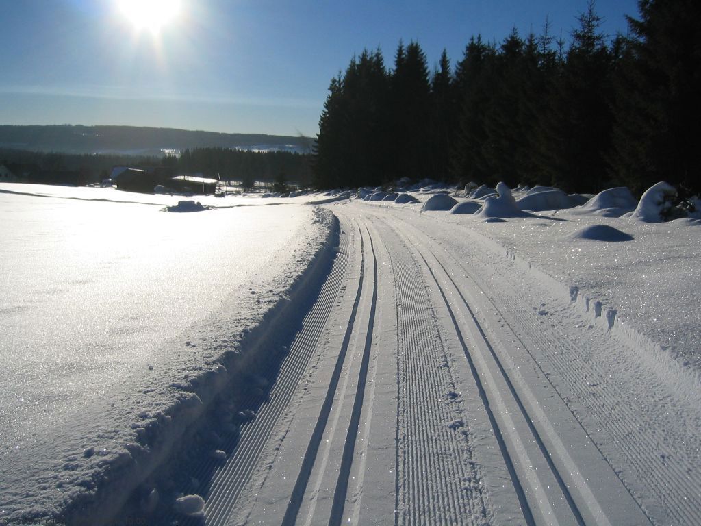Nyoppkjørte spor mellom Hunndalen og Skumsjøen (Osbakken)