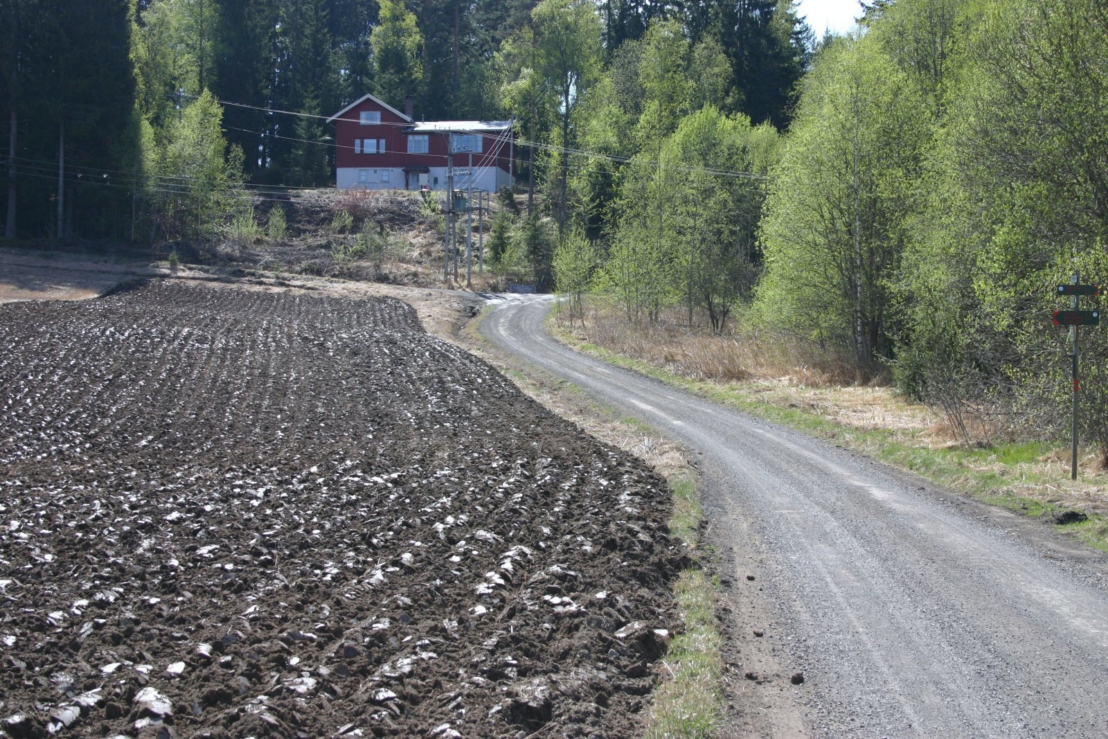 Nypløyd ved Skeidarkollen