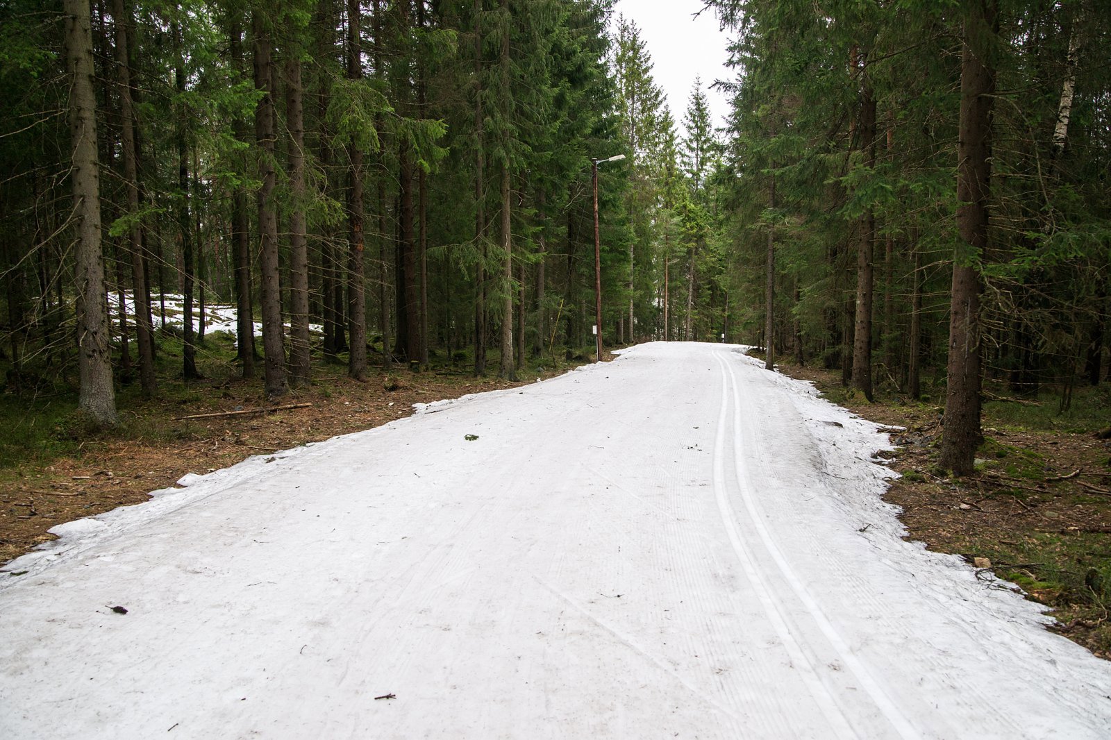 Nypreparert i lysløypa