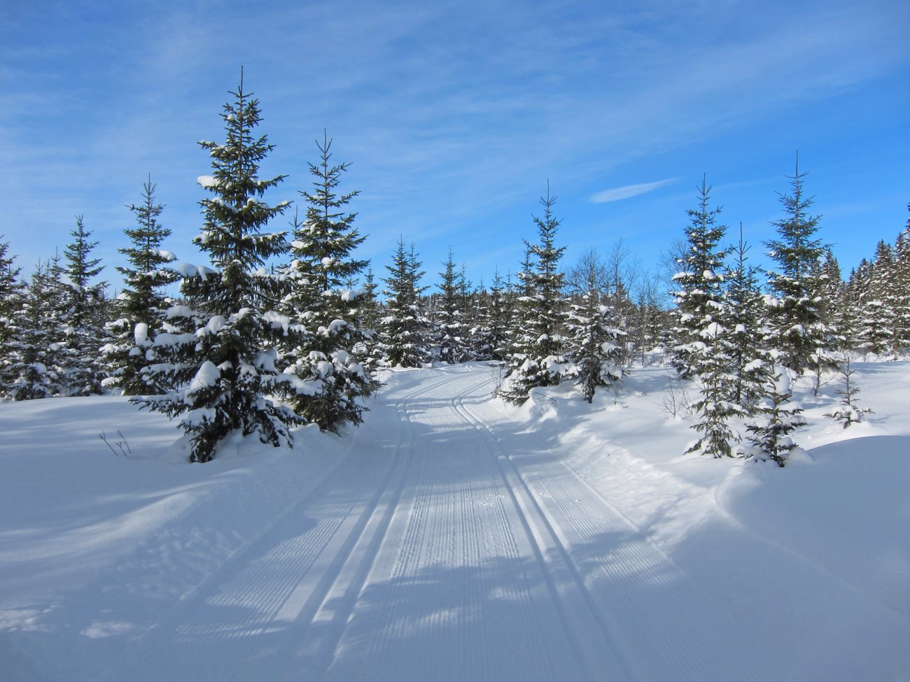 Nypreparert mot Kneikasetra