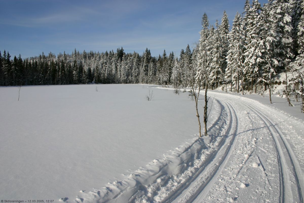 Nypreparerte spor ved Blekketjern