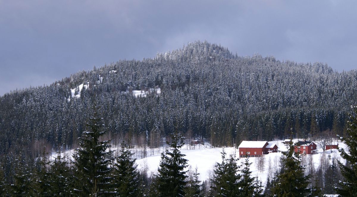 Nysnø på Katnosfjellet