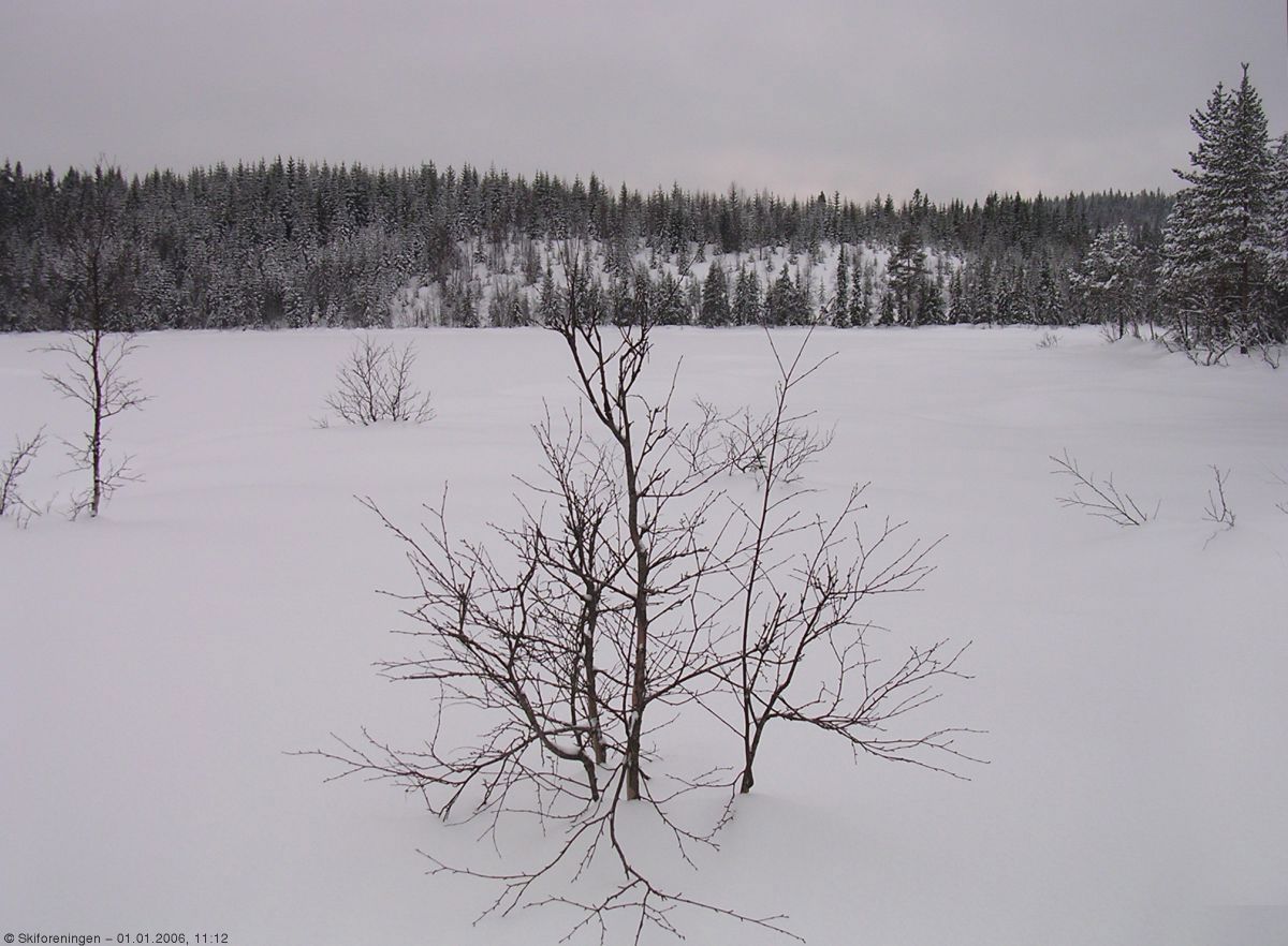 Nyttårsdag ved Åbortjernet