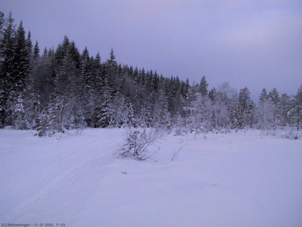 Nyttårsstemning i Osmarka