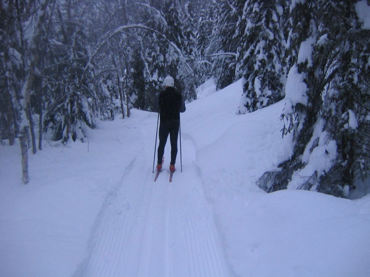 Ødemark nord for Spålen