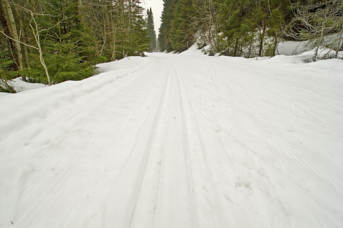 Og sesongen fortsetter…