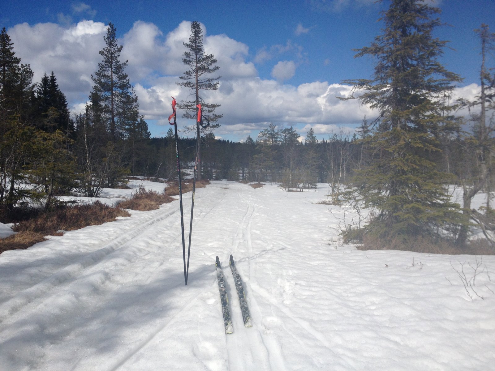 Ok forhold i Treningsrunden