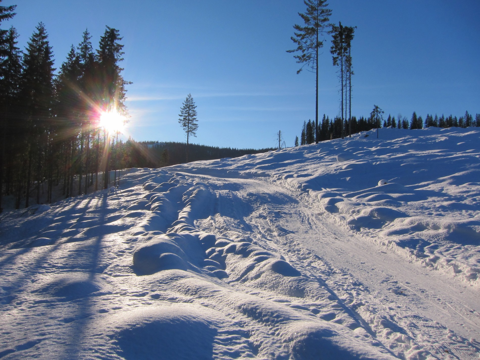 Opp bakkene fra Hovsvåja