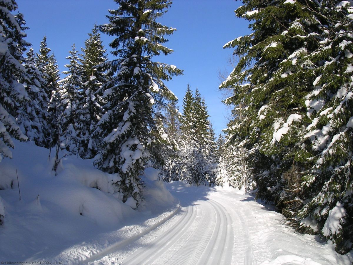 Opp bakkene mot Frøshaug