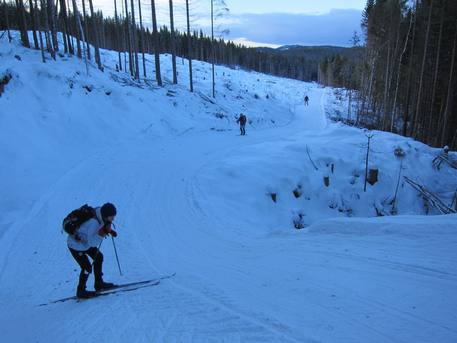 Opp og ned gjennom Øyungslia