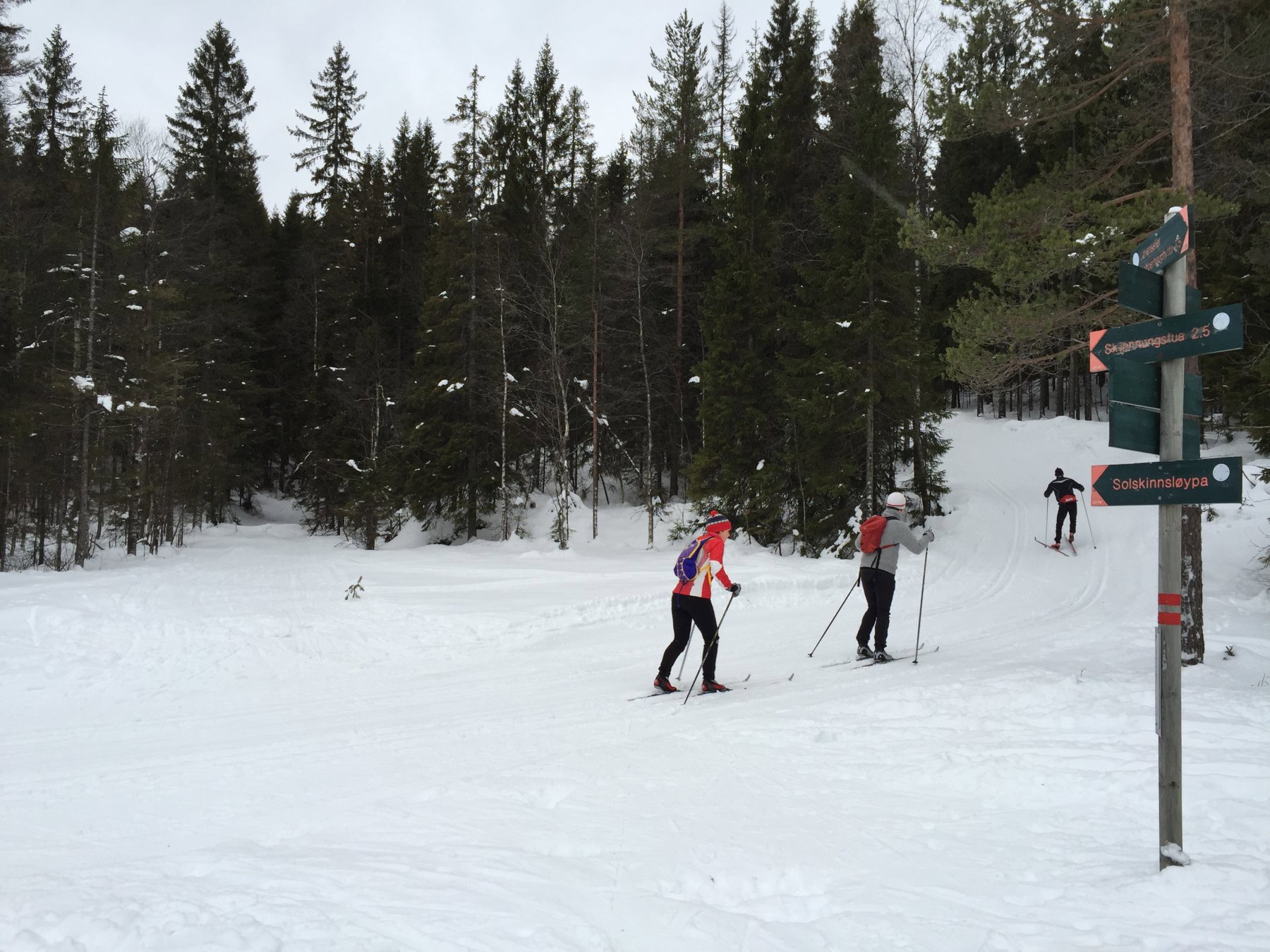 Opp Solskinnsløypa?