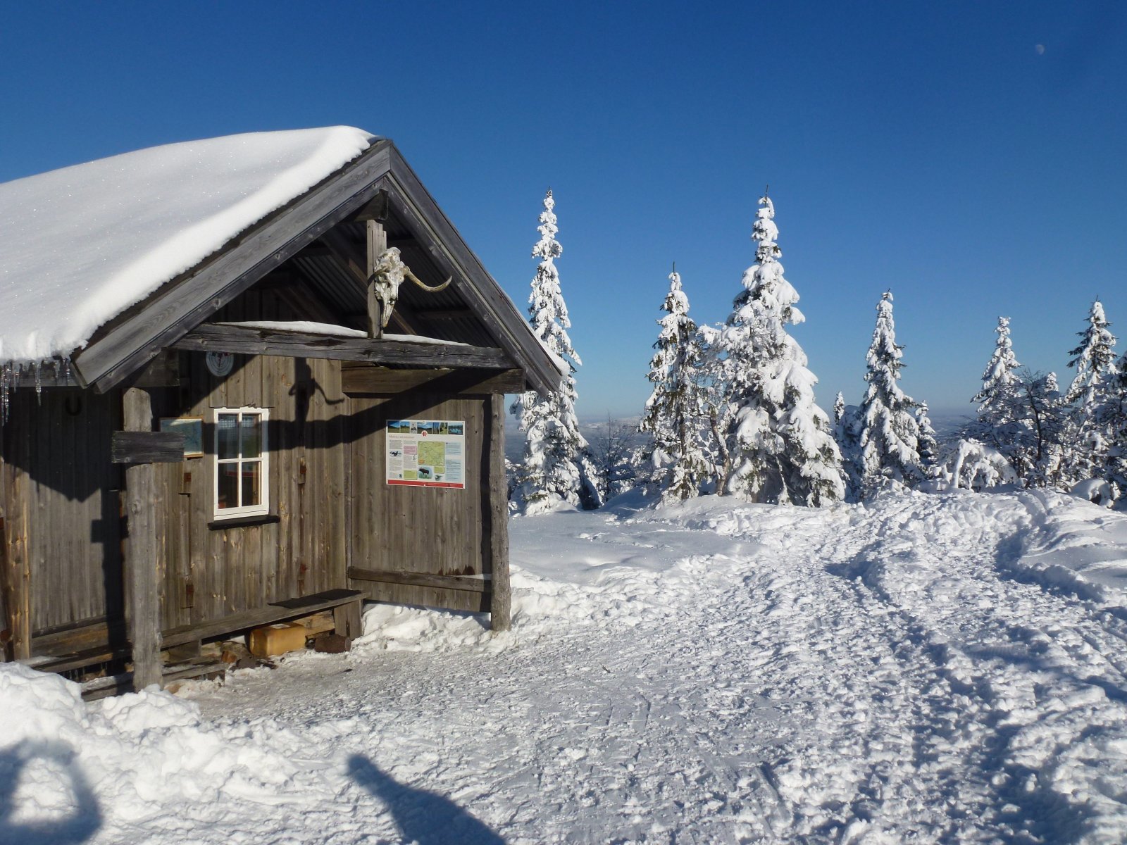Østover fra Marifjellshytta