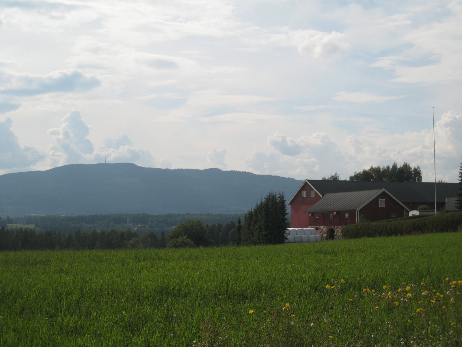 Østsidavegen mot vest