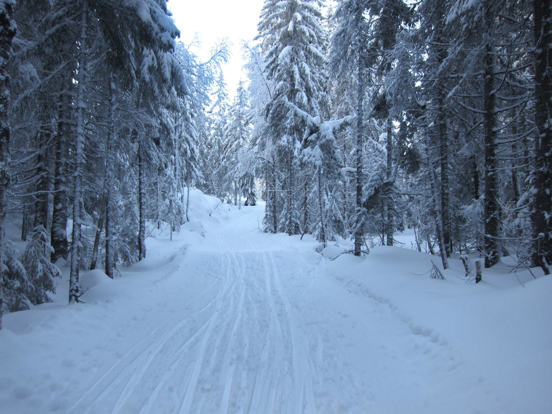 Over en ny skibro etter lørdagens snevær