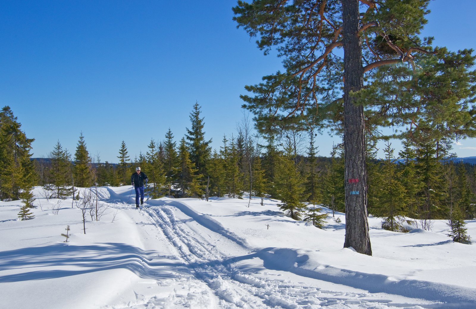 Over Ingjerdsbrenna i solskinn