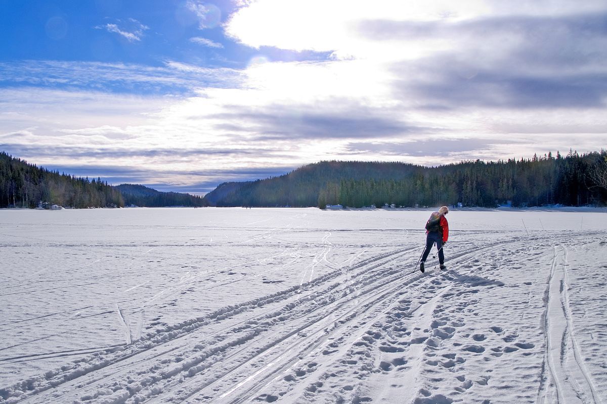 Over Spålen i motlys