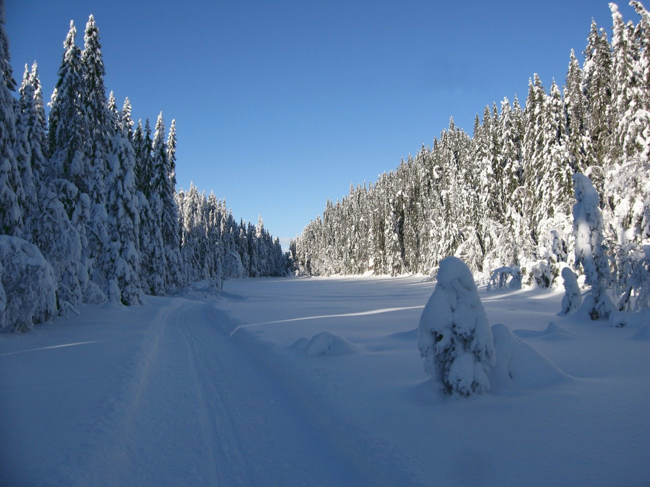 Over Tvetjernshøgda