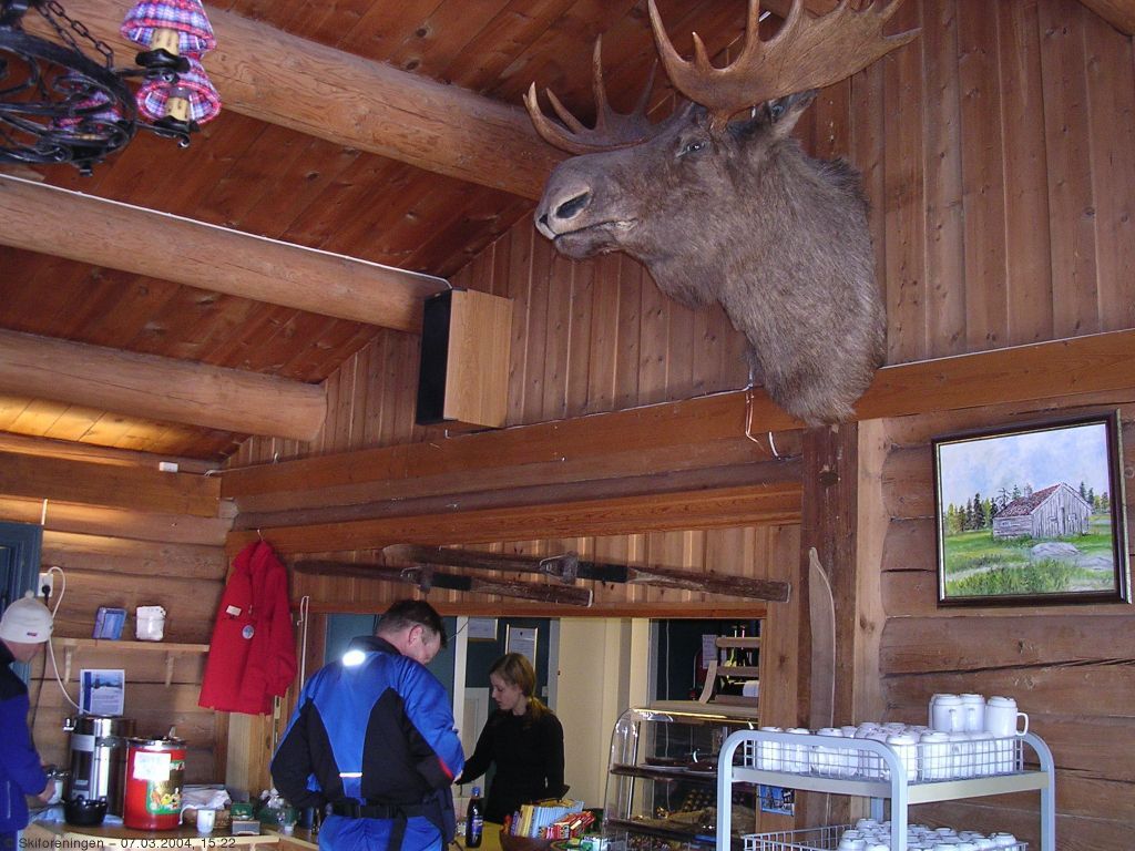 Overvåking av salget på Løvlia?