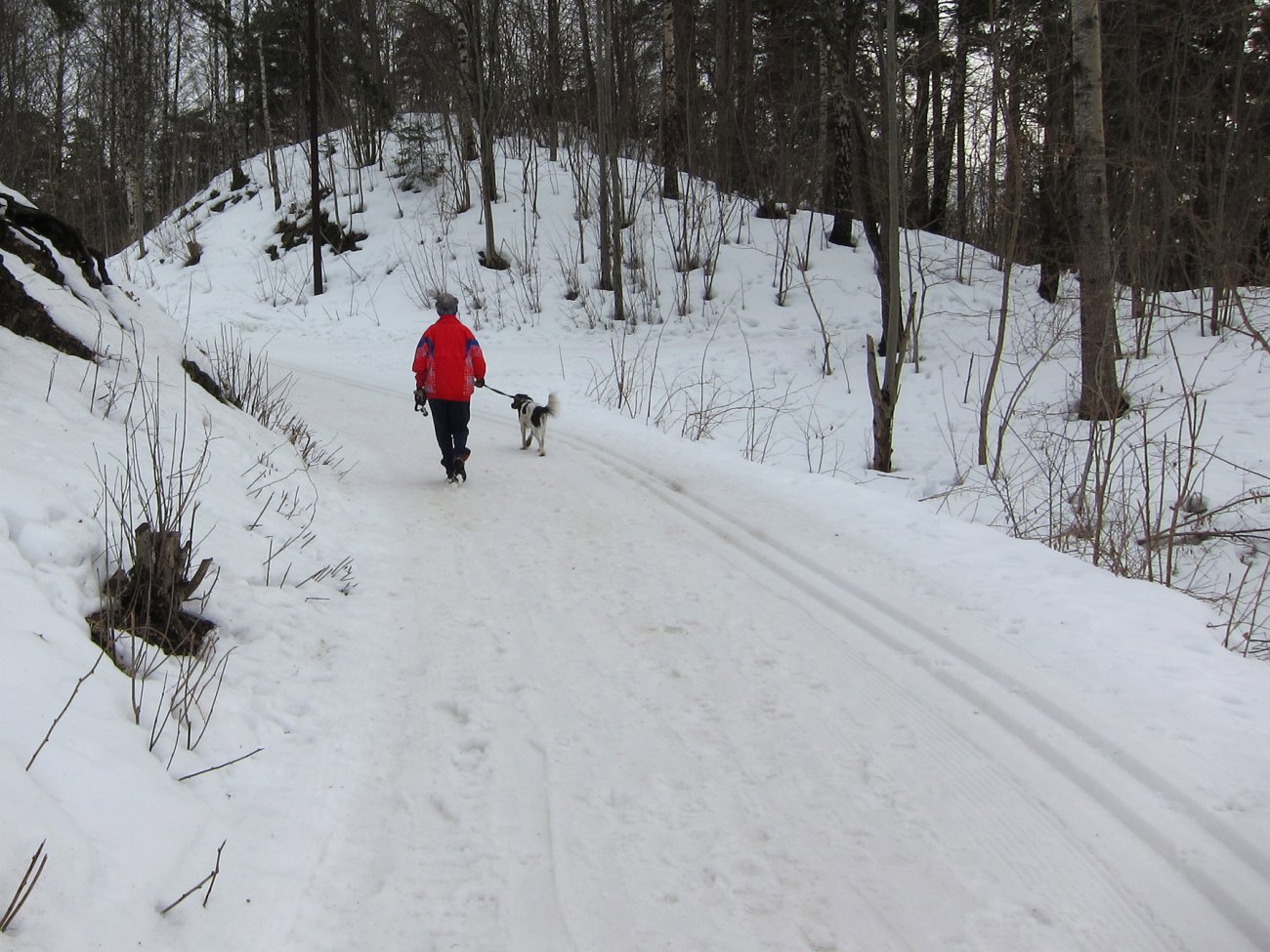 På fottur på vintervei