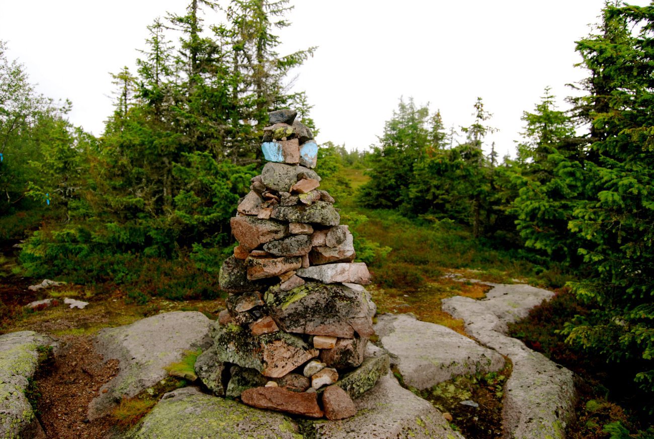 På Framstadsæterfjellet