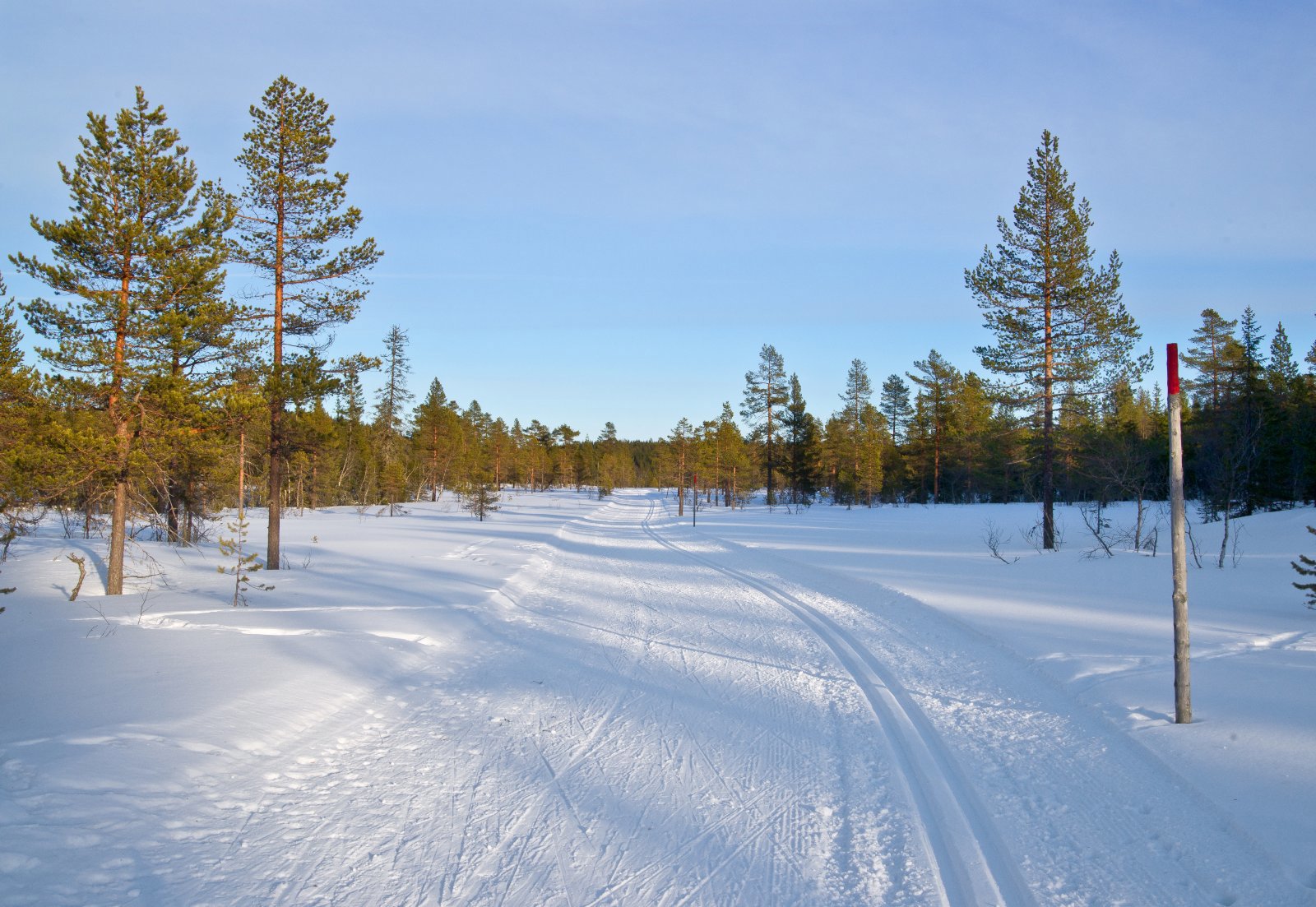 På glid over myrene