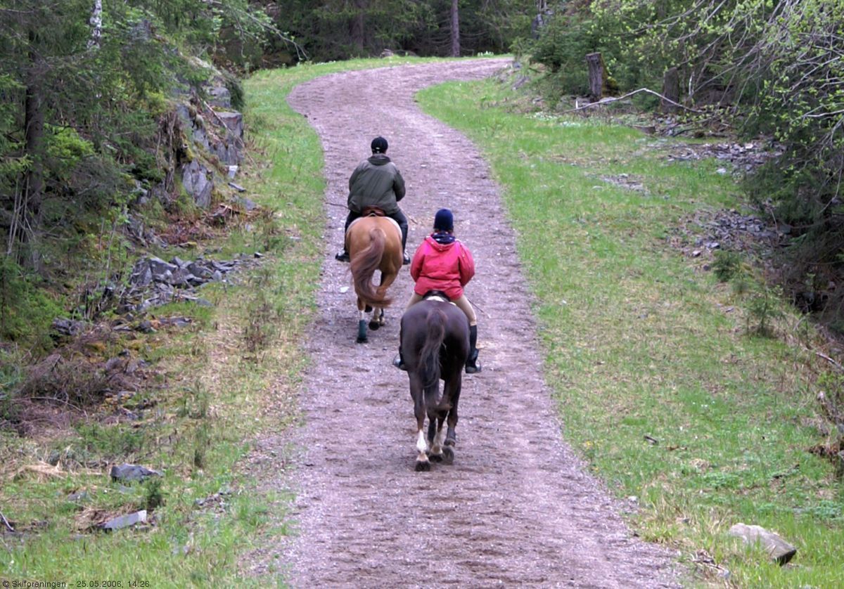 På hesteryggen i Merradalen