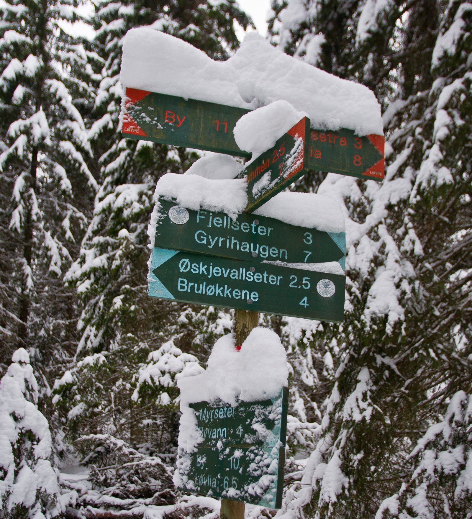 På Krokskogen - ingen tvil om det!