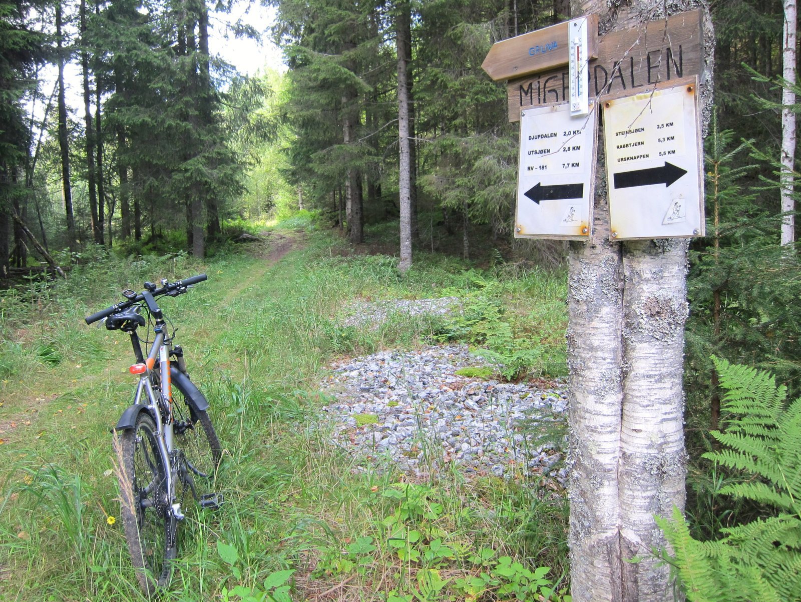 På løypetrasé i Migerdalen