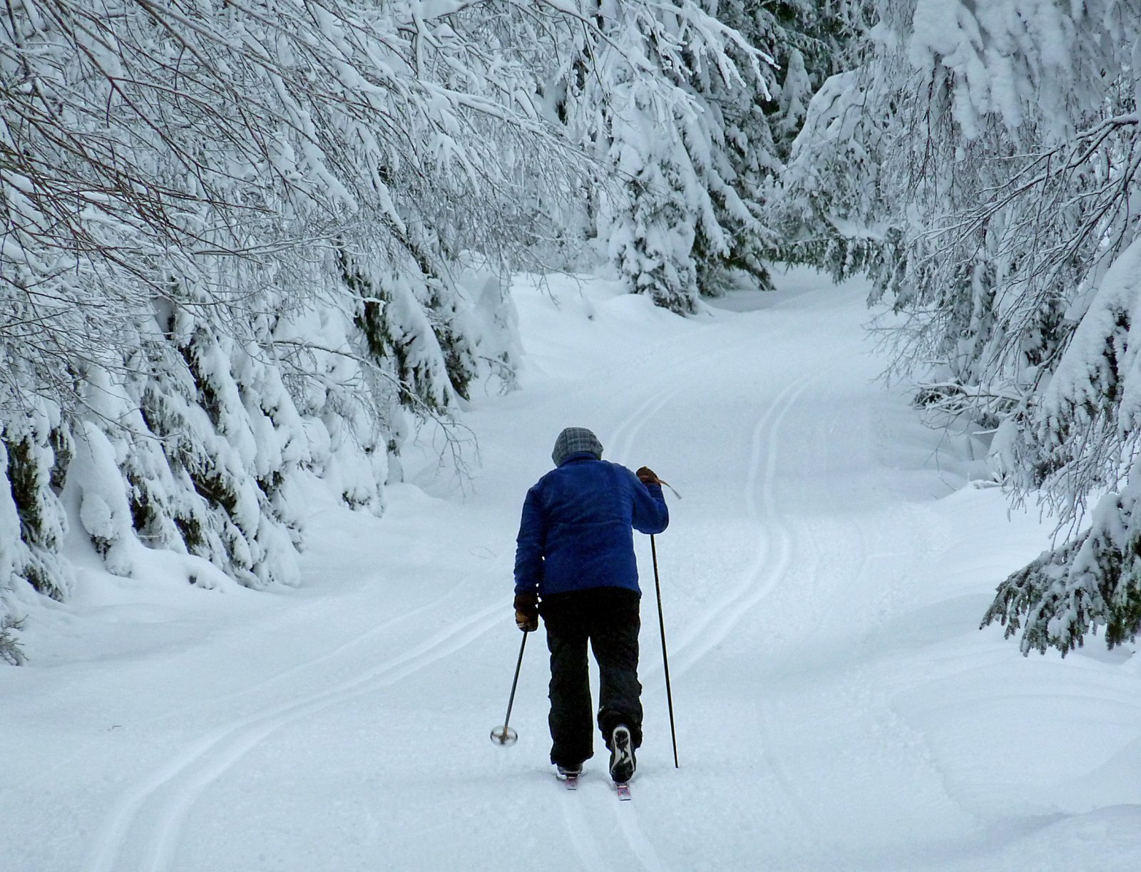 På ski i vinterlandskapet