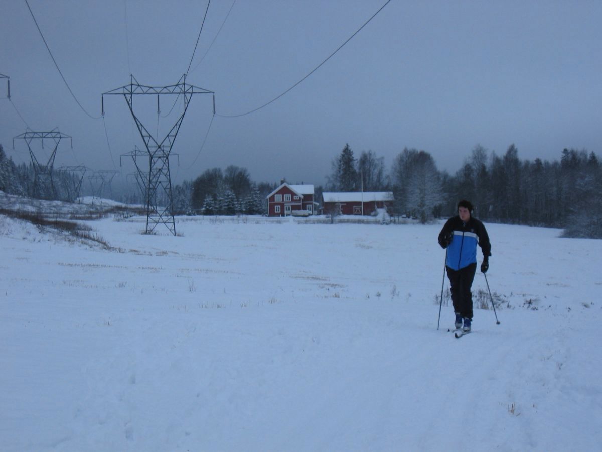 På ski over Gaustadjordene