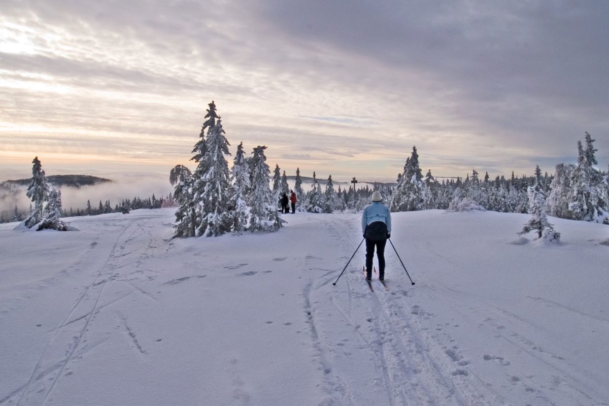 På ski over tåken